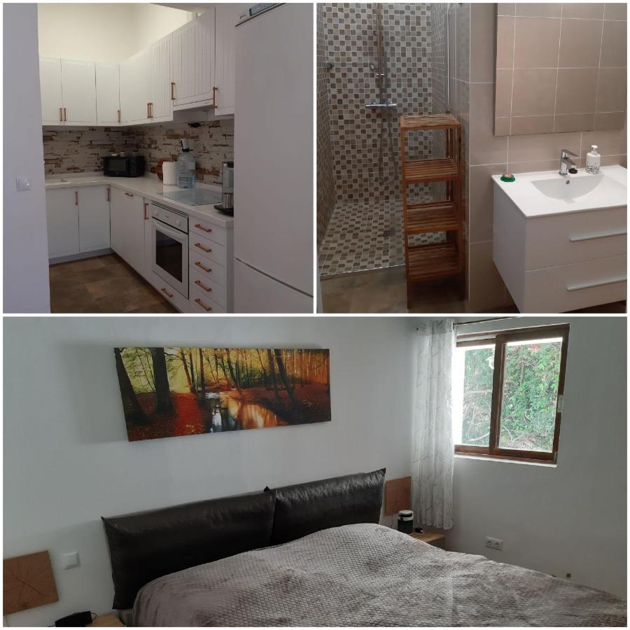 Schoene Wohnung In Puerto De La Cruz Mit Garten. Екстериор снимка